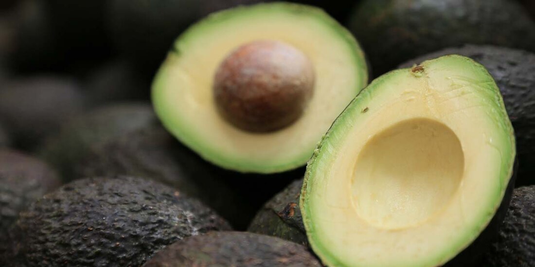 Balanza comercial agroalimentaria con superávit.