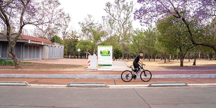 EL BOSQUE de Chapultepec
cuenta con su ciclopista para
poder practicar entre los
árboles. Aquí también encontrarás
clases para aprender a
manejar bicicleta desde cero;
son para todas las edades.