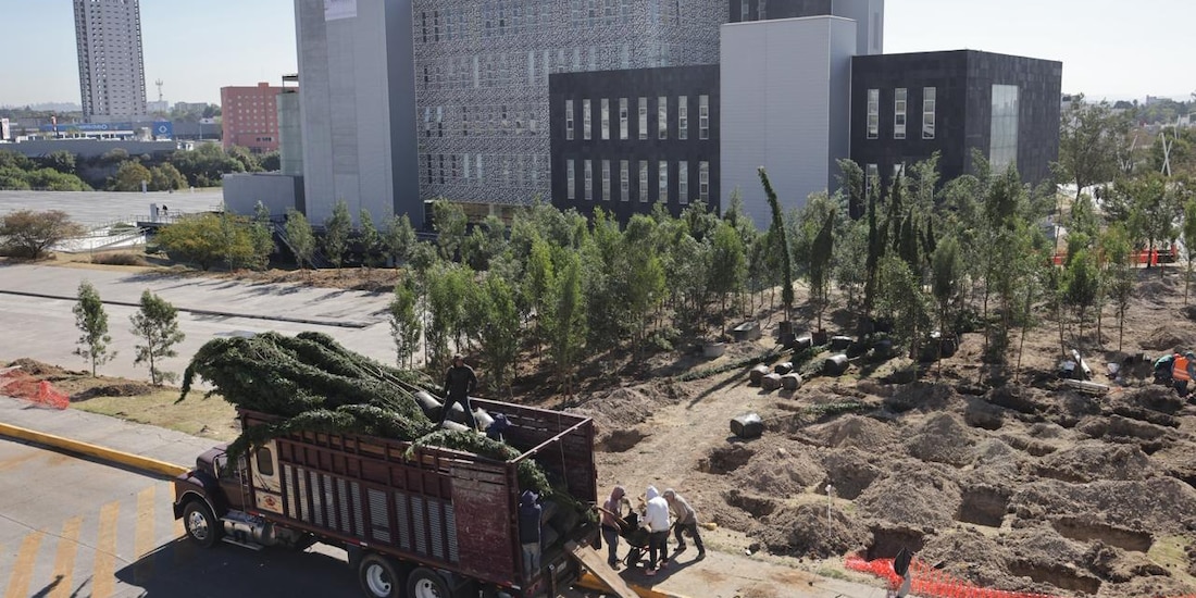 Gobierno de Puebla inicia la reforestación del Centro Integral de Servicios (CIS) Angelópolis.