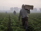 Producción, empleo y crisis hídrica marcan el presente del campo de San Luis Potosí.