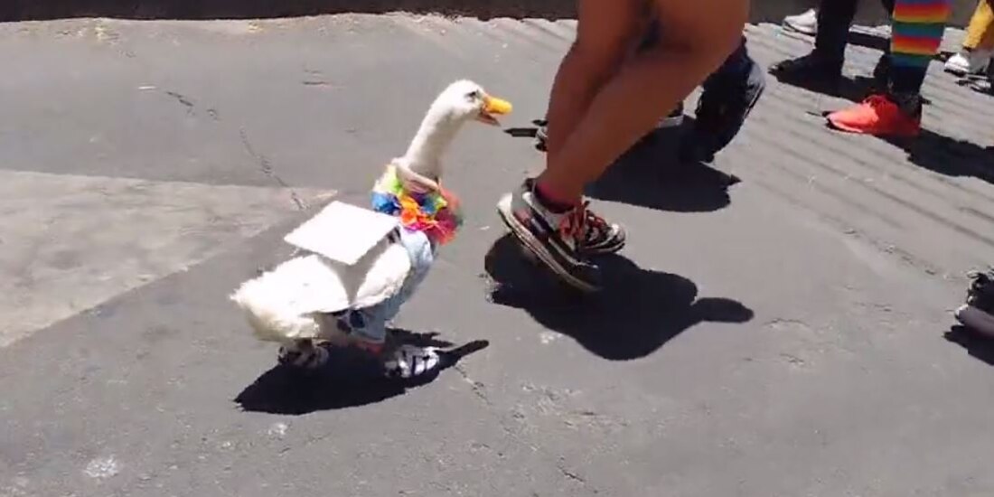 Marcha LGBT+ CDMX 2023: Pato se roba las miradas y exige un alto a la violencia