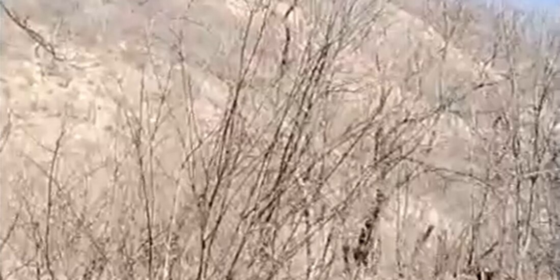 En un video los pobladores reportaron el ataque con drones en la comunidad Pinolapa, Michoacán.