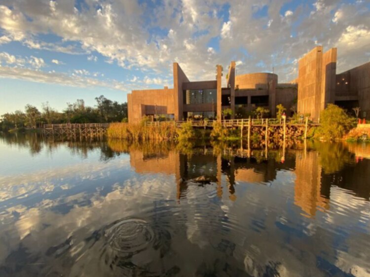 El gran acuario Mazatlán Mar de Cortés cuenta con más de 200 especies marinas endémicas de la región.