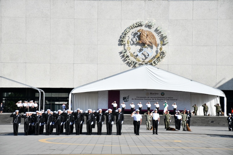 Los perros fueron retirados con una ceremonia