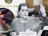 Este es el PASO A PASO del proceso mediante el cual se elegirá a sucesor/a de Guadalupe Taddei en la presidencia del Consejo General del INE.