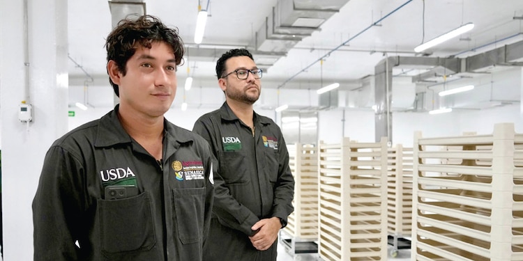 EMPLEADOS de
Senasica, en las
instalaciones de la
planta, el sábado
27 de junio.