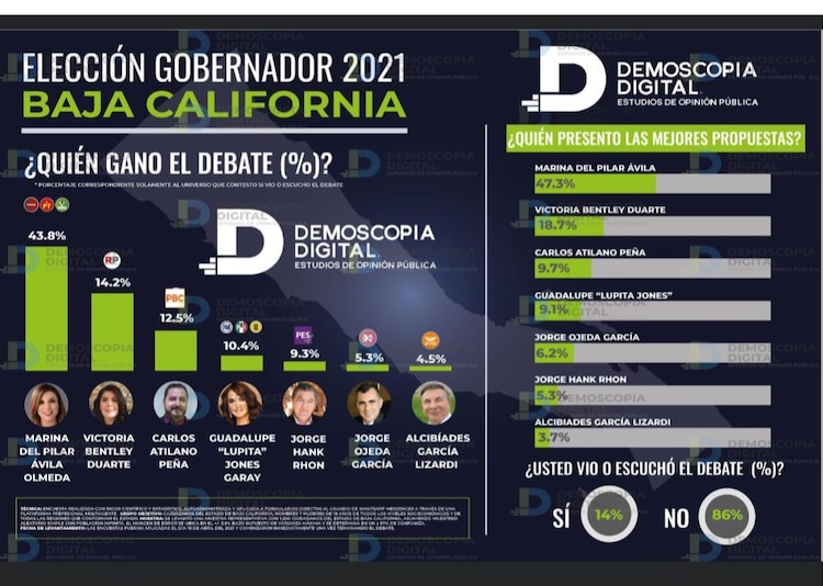 Resultados de la encuesta de Demoscopia Digital.