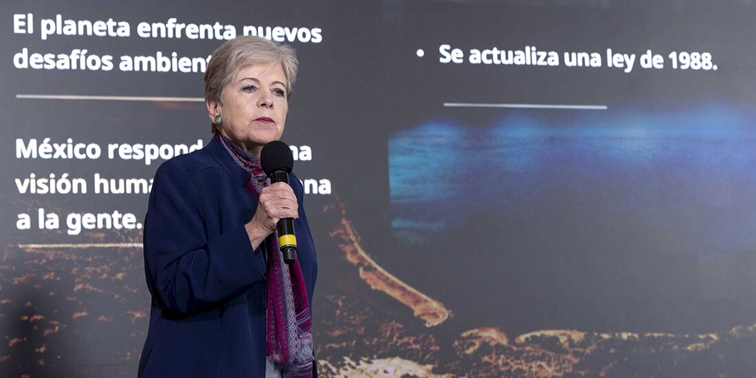 Alicia Bárcena, titular de Semarnat, ayer, en conferencia de prensa.