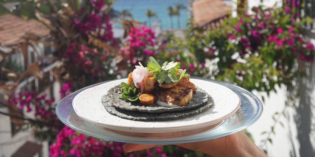 Disfruta de la gastronmía de Puerto Vallarta en la CDMX