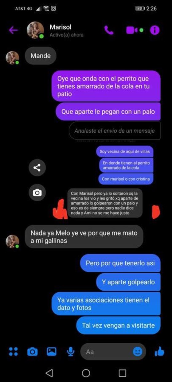 El activista mostró en su página de Facebook fotos y capturas de pantalla sobre el maltrato al perro