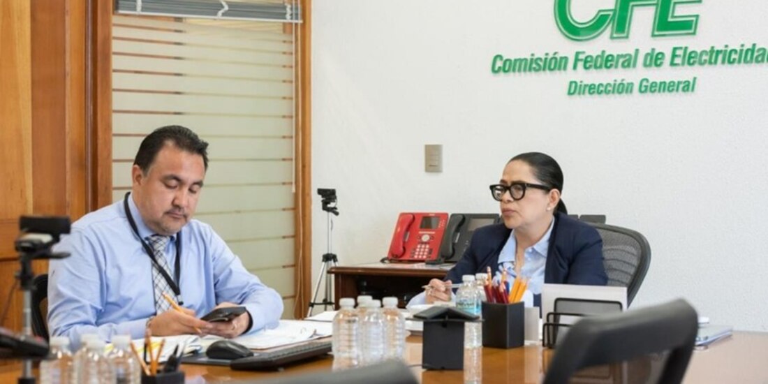 Funcionarios de la CFE.