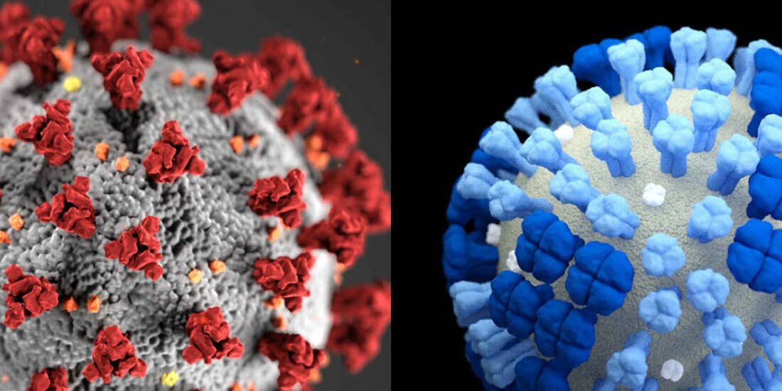 Alertan por repunte de subvariante BA.2