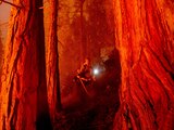 Un bombero entre las llamas que consumen los bosques de California.