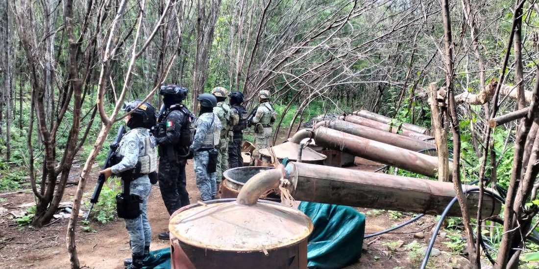 Desmantelan cuatro narcolaboratorios en Guerrero y Michoacán.