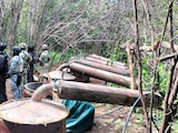 Desmantelan cuatro narcolaboratorios en Guerrero y Michoacán.