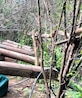 Desmantelan cuatro narcolaboratorios en Guerrero y Michoacán.