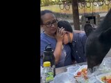 Madre cubre rostro de su hijo cuando oso les roba la comida