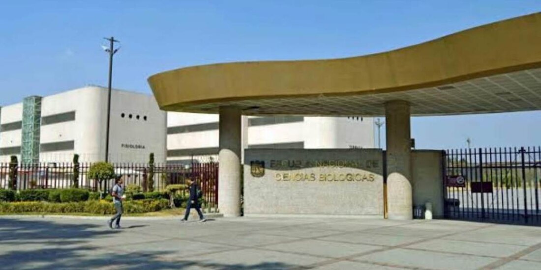La SEP expone los avances para atender las demandas estudiantiles del Politécnico, incluyendo la disolución de un patronato clave.