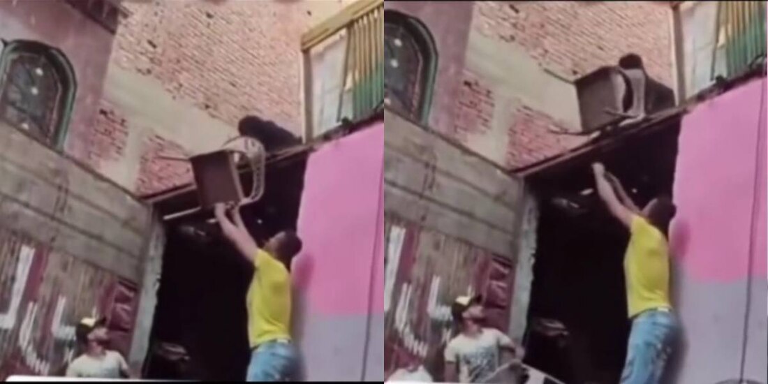 Perrito ayuda a subir sillas a techo de una casa.