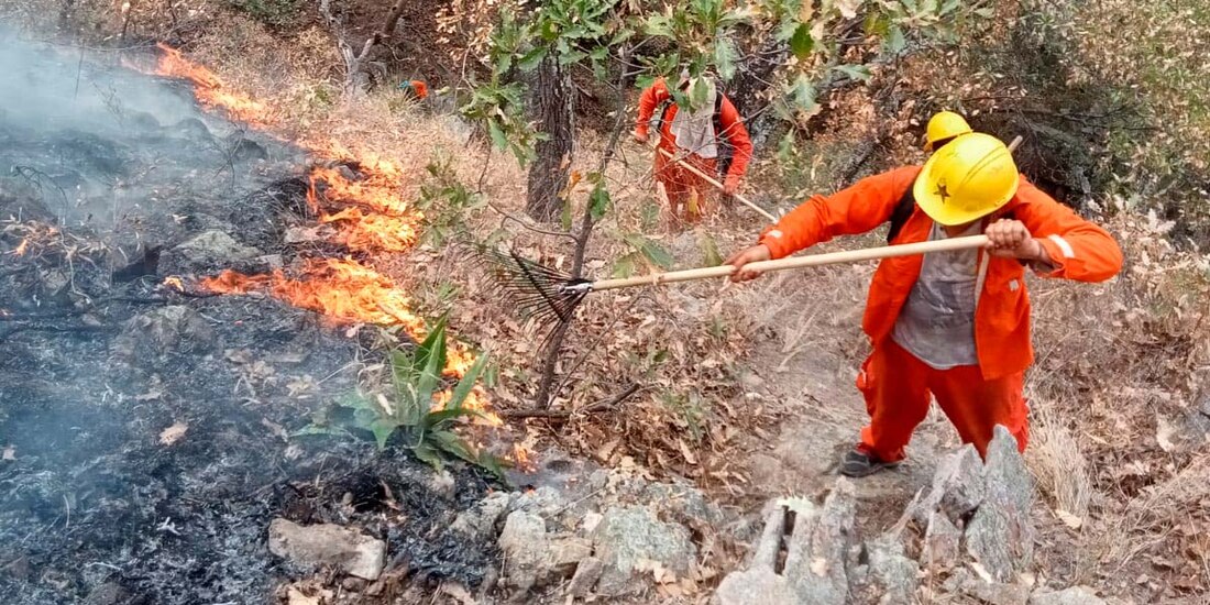 Brigadista atendiendo un incendio forestal