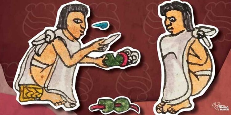 "Tlateccáyotl: los artistas de las piedras preciosas",