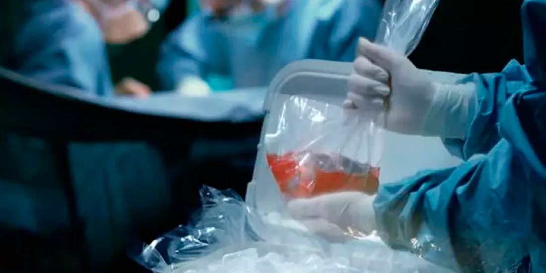 Un joven perdió la vida en un accidente; su madre decidió donar los órganos de su hijo, los cuales ayudaron a 60 personas..