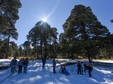 Cientos de visitantes acudieron al Volcán Xinantécatl después de que se registrara la primera nevada, algunos desde otros estados de la República Mexicana decidieron visitar este destino que ofrece un paisaje nevado en donde no dejaron de hacer su muñeco de nieve y deslizarse en la misma.