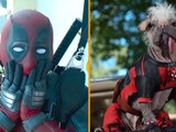 Ryan Reynolds revela la fecha de estreno de 'Deadpool 3' y anuncia a Dogpool