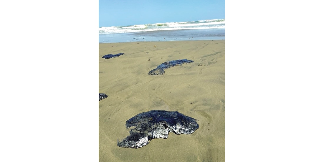 ASPECTO del derrame petrolero en los litorales de Veracruz, el 23 de marzo.