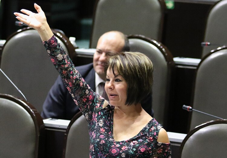 La senadora del PAN Minerva Hernández.