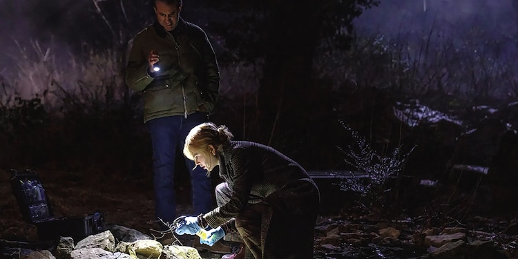 Scarpetta
Dirección: David Gordon Green
Estreno: 11 de marzo
Plataforma: Prime Video