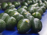 Aguacate mexicano en imagen de archivo