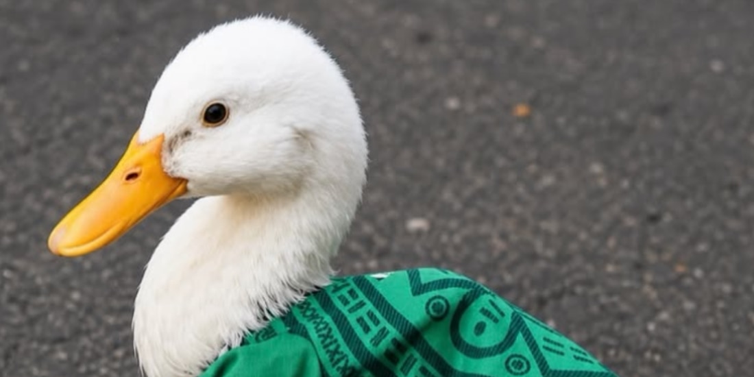 Visitantes buscan el souvenir del Pato Merlín en el Centro Histórico capitalino.
