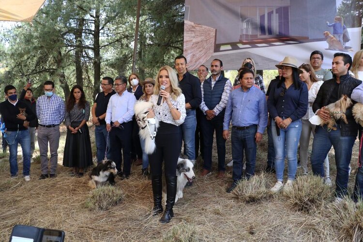 Centro de Atención y Protección Animal