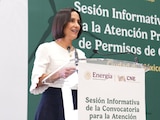 La secretaria de Energía, Luz Elena González Escobar.