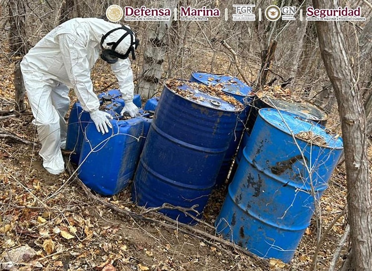 En los operativos, ejecutados en nueve municipios, fueron decomisados precursores químicos.