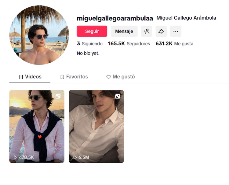 Supuesto perfil de TikTok del hijo de Luis Miguel y Aracely Arámbula
