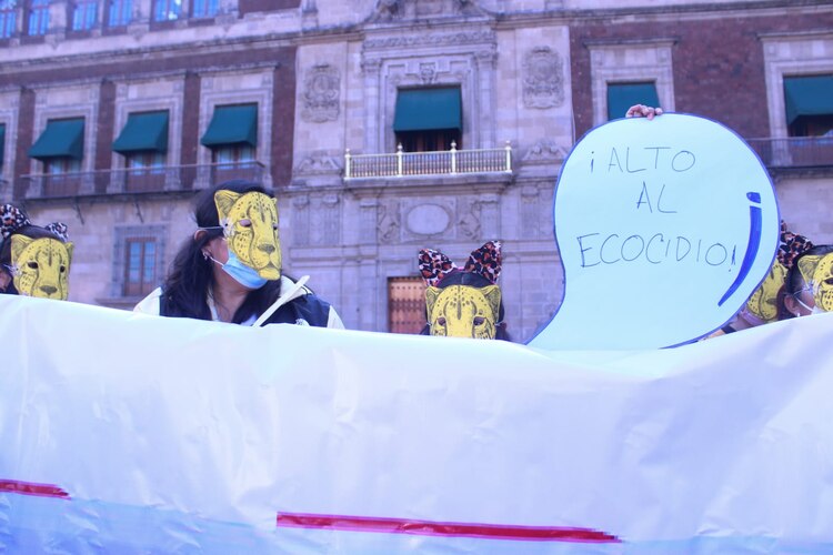 Los manifestantes se caracterizaron con máscaras de animales del bosque