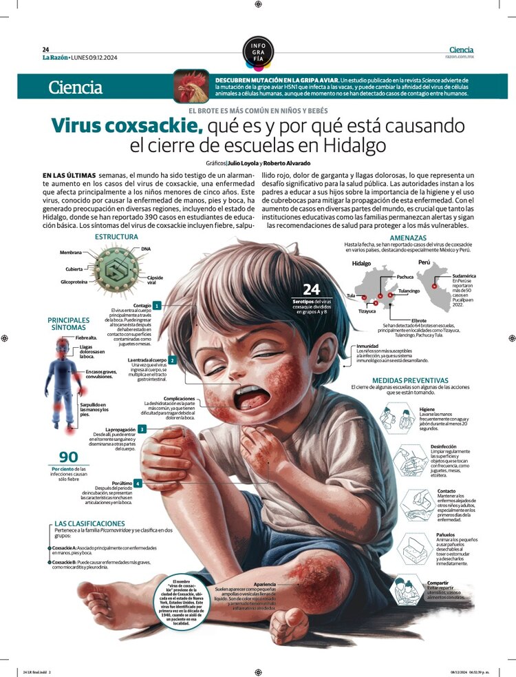 Virus coxsackie