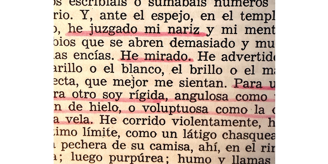 Cien veces perra