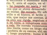 Cien veces perra
