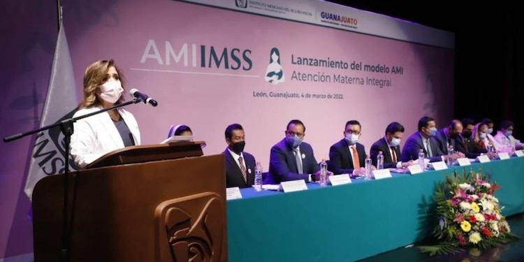 AMI surge ante el número de mujeres que sufrieron algún tipo de violencia por parte de quienes las atendieron durante el parto.