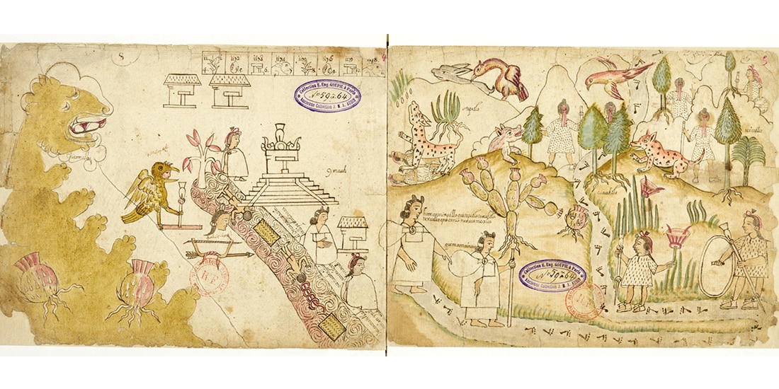Imagen del Códice Azcatitlán que se exhibirá en el Museo Nacional de Antropología.