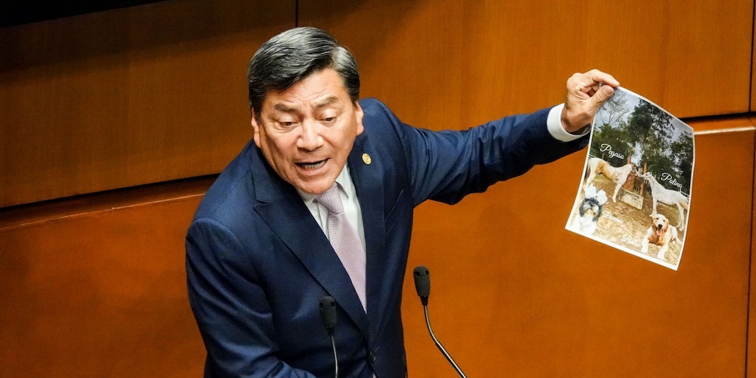 El senador morenista Óscar Cantón Zetina