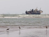 Aves en la playa, con embarcaciones en Ormuz cerca de Bandar Abbas, ayer.