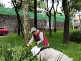 El jardín en Boulevard de la Luz, antes deteriorado, ha sido transformado en un espacio seguro y atractivo para los vecinos de Álvaro Obregón.