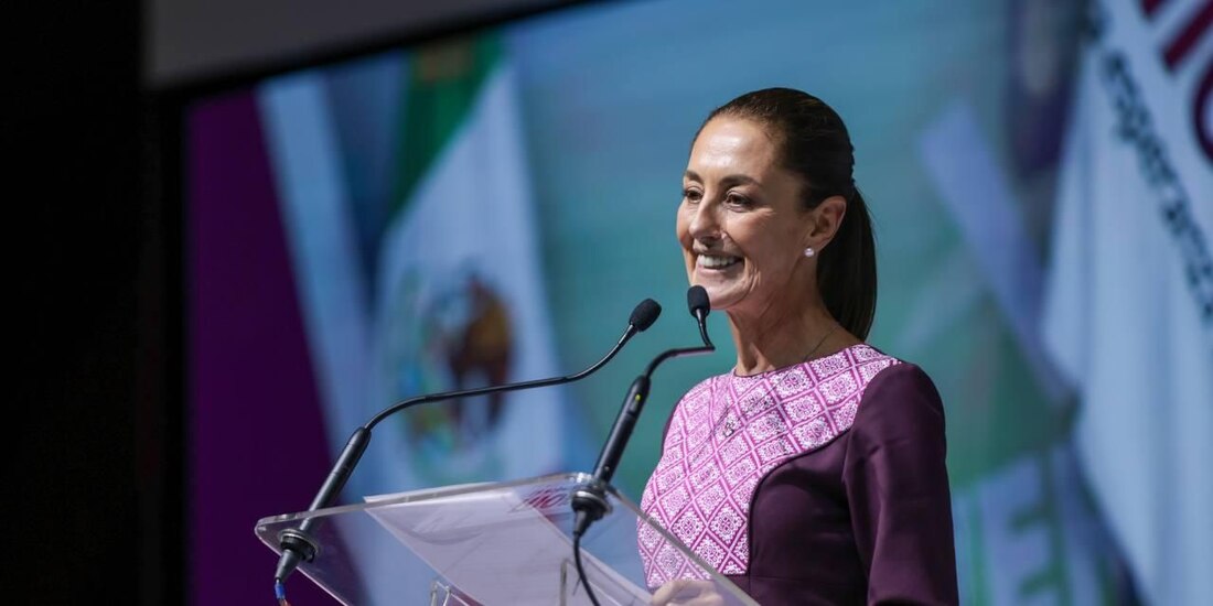Claudia Sheinbaum, Coordinadora de los Comités para la Defensa de la Cuarta Transformación.