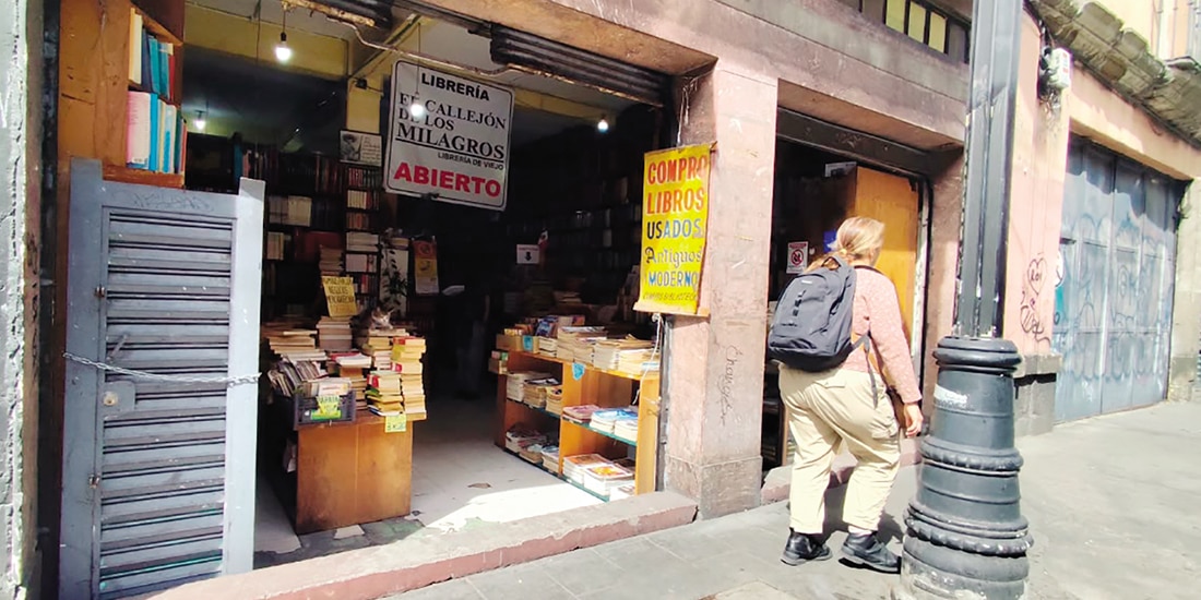 Un gato descansa sobre unos libros, ayer, en un local del Centro.