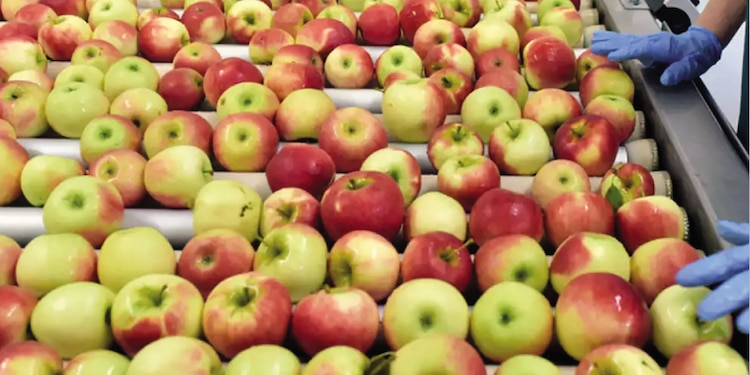 marcelo ebrard, titular de Economía, comentó al respecto que las importaciones de Estados Unidos aumentaron 9.0 por ciento en el lapso investigado y 30 por ciento en el periodo analizado.