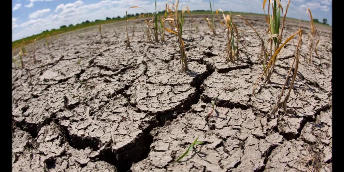 El cuidado al medio ambiente es un tema que constantemente está en la agenda de los gobiernos.
